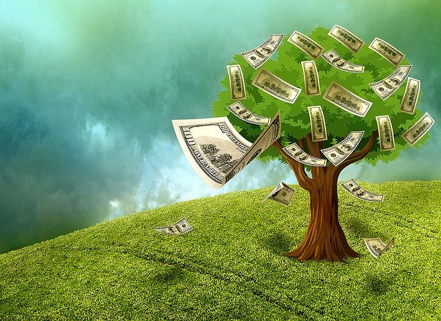 peníze na stromě.jpg